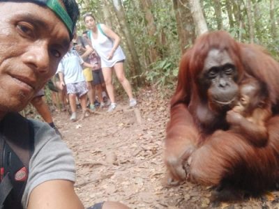 Orangutan trip