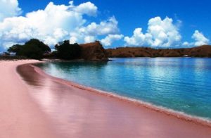 Pink beach in Lombok