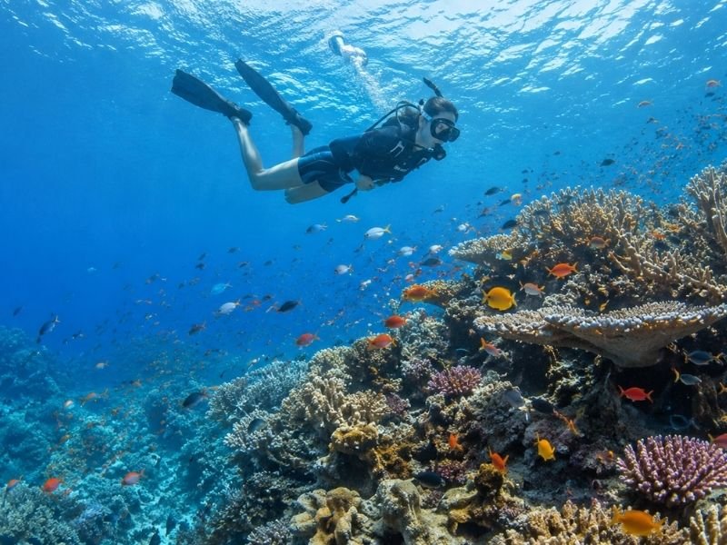 Raja Ampat diving escape