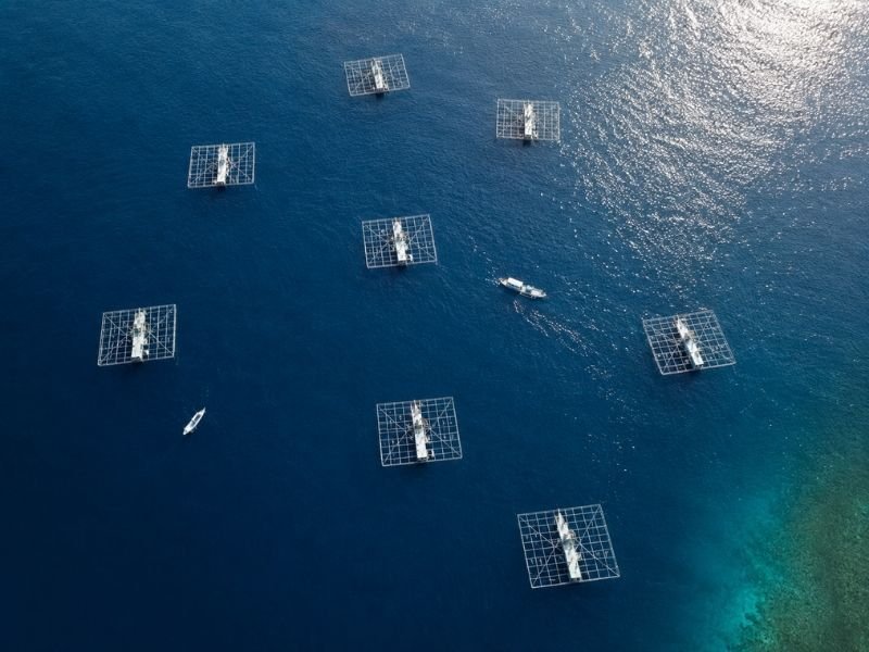 Bagan fishing platform Sumbawa