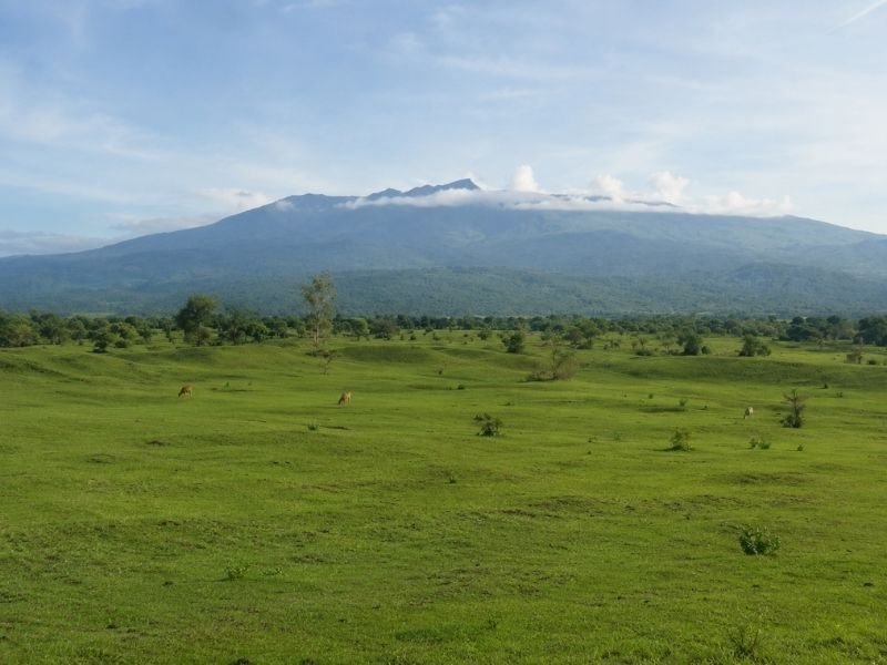 Dompu savanna road trip