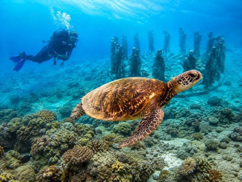 Gili Meno Vacation