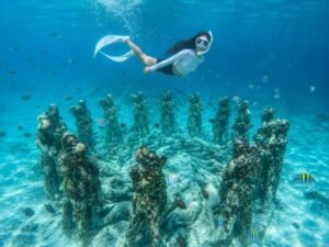 Gili Meno snorkeling tour