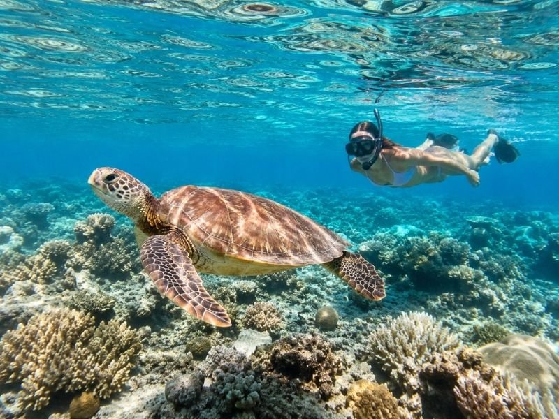 Gili Trawangan snorkeling tour