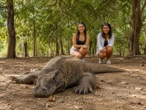 Komodo Island Trip