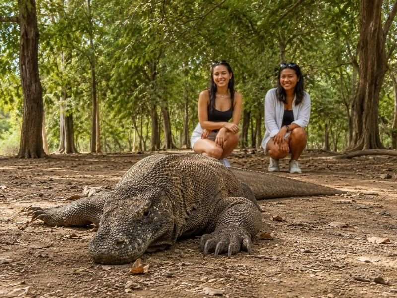 Komodo Island Trip