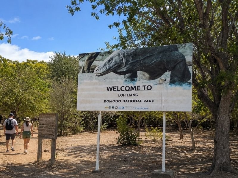 Komodo Island tours