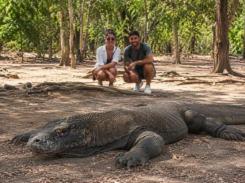 Komodo National Park