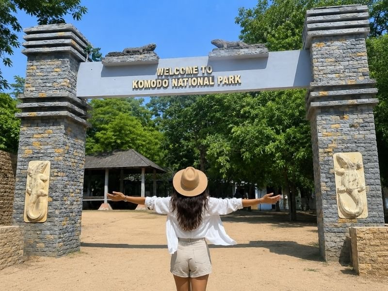 Komodo island vacations