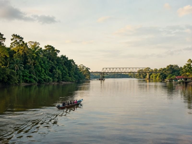 Lamandau River