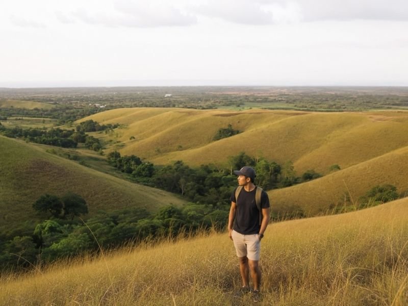 Lendongara Hills