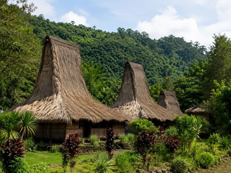 Moni Village Flores