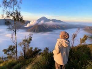 Mount Bromo Crater Tour