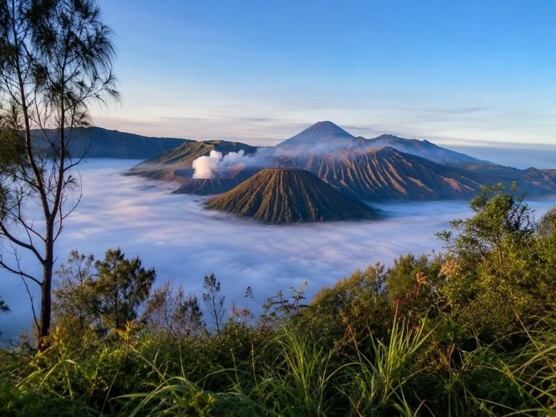 Mount Bromo Crater Trip