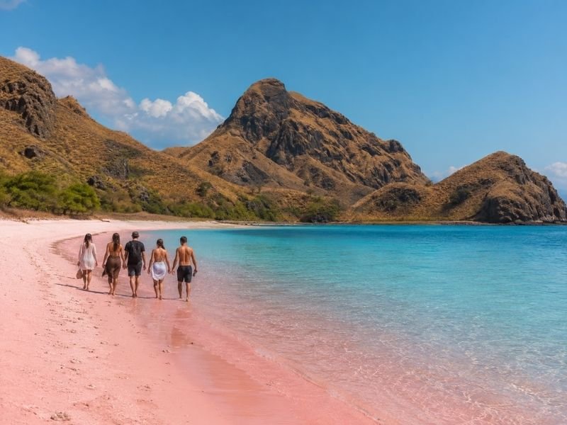 Pink beach Komodo flores