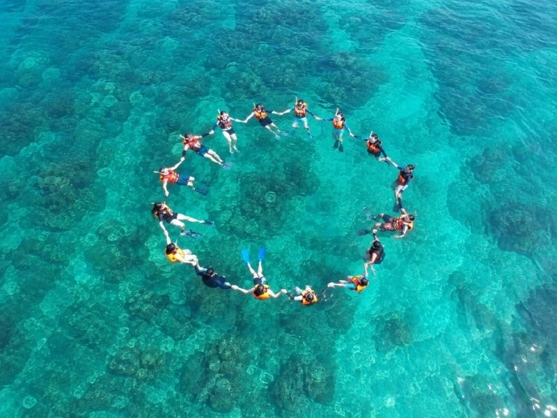 Poto Jarum pristine underwater gardens