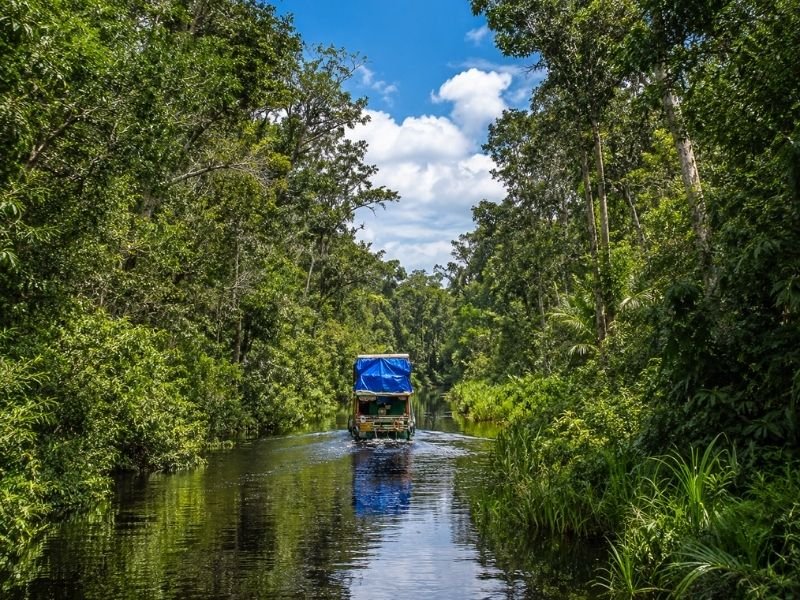 Sekonyer River Borneo