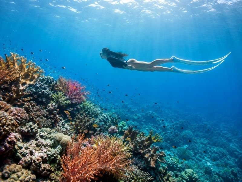 Takat Sagele snorkeling spots