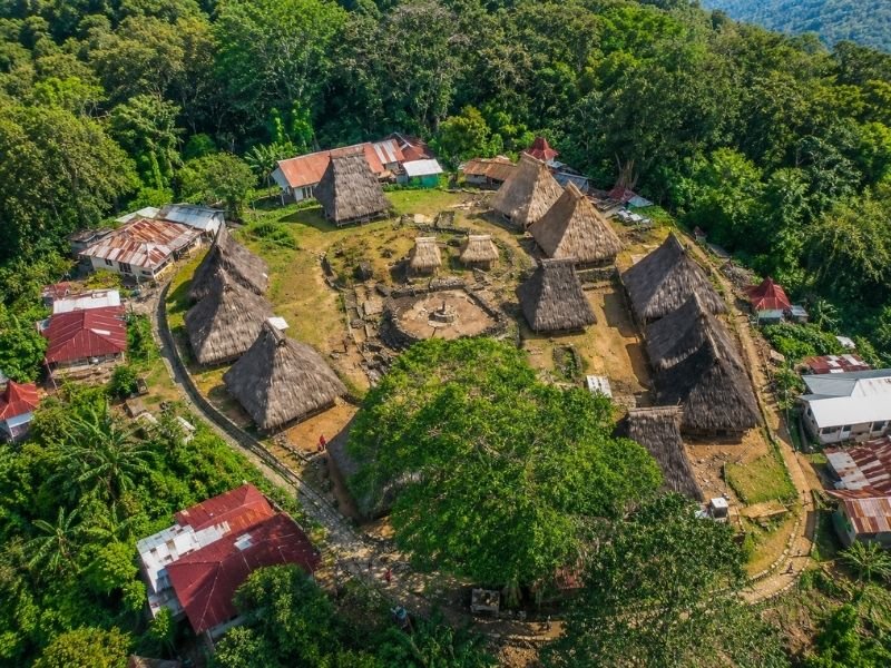 Wologai traditional houses